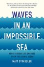 Matt Strassler: Waves in an Impossible Sea, Buch