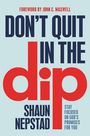 Shaun Nepstad: Don't Quit in the Dip, Buch