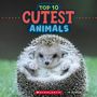 Brenna Maloney: Cutest Animals (Wild World: Top 10), Buch