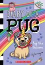 Kyla May: Pug the Unicorn: A Branches Book (Diary of a Pug #14), Buch