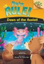Susan Tan: Dawn of the Axolotl: A Branches Book (Pets Rule! #9), Buch