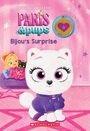 Christy Webster: Bijou's Story (Paris and Pups: Illustrated Chapter Book #1), Buch
