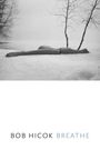 Bob Hicok: Breathe, Buch