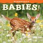 Farcountry Press: Minnesota Babies!, Buch