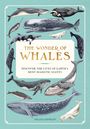 "The Wonder of Whales: Discover the Lives of Earth's Most Majestic Giants." Illustration von Walen auf blauem Hintergrund.