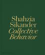 Ainsley M. Cameron: Shahzia Sikander, Buch