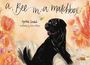 „a Bee in a matchbox“, Cynthia Zordich, Illustration von Anna DeMalo. Ein schwarzer Hund blickt zu einer Biene.