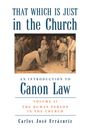 Carlos José Errázuriz: That Which Is Just in the Church, Buch