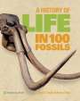 Paul D Taylor: A History of Life in 100 Fossils, Buch