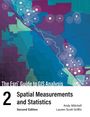 Andy Mitchell: The ESRI Guide to GIS Analysis, Volume 2, Buch