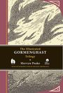 Mervyn Peake: The Illustrated Gormenghast Trilogy, Buch