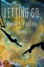 "LETTING GO. David E. Poston. poems." Silhouetten von Menschen, die über einen bunten abstrakten Hintergrund fliegen.