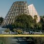 Lewis F Fisher: Texas Trails and Glass Pyramids, Buch