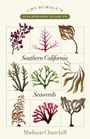 "Churchill’s Illustrated Guide to Southern California Seaweeds." Illustration verschiedener Algenarten in Kästchen.