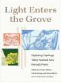 : Light Enters the Grove, Buch