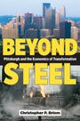 Christopher P Briem: Beyond Steel, Buch