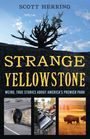 Scott Herring: Strange Yellowstone, Buch