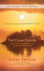 Steve Taylor: The Calm Center, Buch