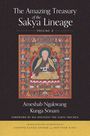 Ameshab Ngakwang Kunga Sonam: The Amazing Treasury of the Sakya Lineage, Buch