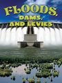 Joanne Mattern: Floods, Dams, and Levees, Buch