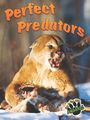 Joanne Mattern: Perfect Predators, Buch