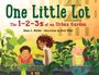 Diane C Mullen: One Little Lot, Buch