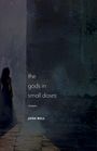 Josh Bell: The Gods in Small Doses, Buch