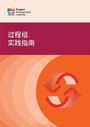 Pmi: Process Groups: A Practice Guide (Simplified Chinese), Buch