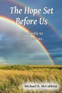 Michael D McCubbins: The Hope Set Before Us, Buch