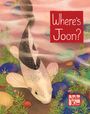 Julie Kim: Where's Joon?, Buch