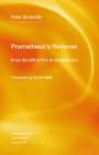 Peter Sloterdijk: Prometheus's Remorse, Buch