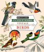 Publications International Ltd: Brain Games - Sticker by Number - Vintage: Birds, Buch