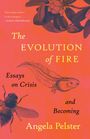 Angela Pelster: The Evolution of Fire, Buch