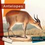 Melissa Gish: Antelopes, Buch