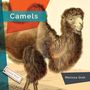 Melissa Gish: Camels, Buch