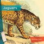 Melissa Gish: Jaguars, Buch