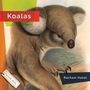 Rachael Hanel: Koalas, Buch