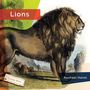 Rachael Hanel: Lions, Buch