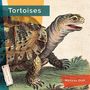 Melissa Gish: Tortoises, Buch