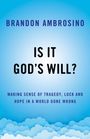 Brandon Ambrosino: Is It God's Will?, Buch