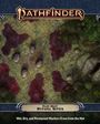 Jason Engle: Pathfinder Flip-Mat: Ritual Sites, Buch