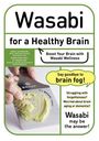 Isao Okunishi: Wasabi for a Healthy Brain, Buch