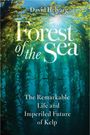 "Forest of the Sea" von David Helvarg. Untertitel: "The Remarkable Life and Imperiled Future of Kelp". Sonnenstrahlen im Wasser.