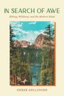 Cover von "In Search of Awe" von Derek Dellinger. Naturlandschaft mit Bergen, Wald und See in Illustration.