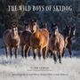 Clare Staples: The Wild Boys of Skydog, Buch