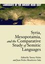 : Syria, Mesopotamia, and the Comparative Study of Semitic Languages, Buch