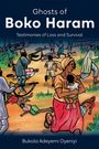 Titel: "Ghosts of Boko Haram - Testimonies of Loss and Survival". Illustration von Chaos und Flucht.