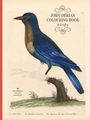 "JOHN DERIAN COLOURING BOOK birds, 20 CHARMING AVIAN DESIGNS." Illustration: Ein bunter Vogel auf einem Ast.