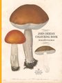 "John Derian Colouring Book: Mushrooms. 20 Elegant Mushroom Designs." Illustration von drei verschiedenen Pilzen.