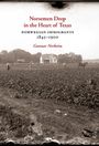 Gunnar Nerheim: Norsemen Deep in the Heart of Texas, Buch